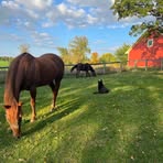 Nancy Skoog-edholm - Facebook