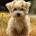 Nancy Slack - Facebook