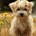 Nancy Slack - @slack626 - Instagram