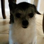 Nancy Slaughter - @princessandnana - Instagram