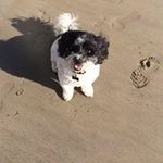 Nancy Slaughter Pallanes - @pallanesnancy - Instagram