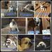 Nancy Slavik - Facebook
