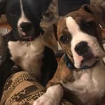 Nancy Sluss - @misslulu1964 - Instagram
