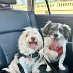 Nancy Salling Diehl - @jackandmarge - Instagram