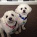 Sid N Nancy Smethurst - Facebook