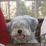 Nancy Smithwick Rumbley - @nancysmithwickrumbley - Instagram