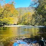 Nancy Snead - @gmasnead - Instagram