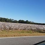 Nancy Snead Schlotter - @sneadschlotter - Instagram
