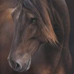 Nancy Snell - @nancy.snell - Instagram