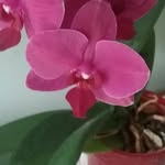 Nancy Glenn Snipes - @snipesglenn - Instagram
