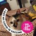 Nancy Snodgrass - Facebook