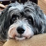 Nancy Snyder - @nancy.snyder.7737 - Instagram