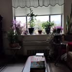 Nancy Snyder - Facebook