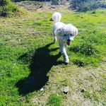 Nancy Sobarzo - @ita_sobarzo - Instagram