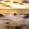 nancysobarzo882 - @nancysobarzo882 - TikTok