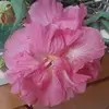 nancysoileau980 - @nancysoileau980 - TikTok