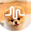 Nancy - @nancysole - TikTok