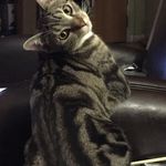 Nancy Alzerez Somma - @hunnybunny32766 - Instagram