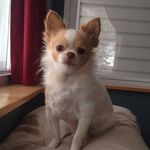 Nancy - @nancy___sorenson - Instagram