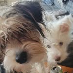 Nancy Sorenson Wolff - @nancysorensonwolff - Instagram
