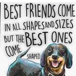 Nancy Spann - @dog_lady58 - Instagram