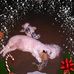 Nancy Sparkman - Facebook