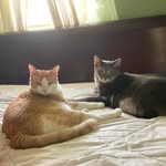 Nancy Yesney Spates - @nanspates - Instagram