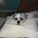 nancy spaulding - @spauldingnancy - Instagram