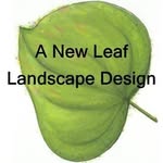 Nancy Spaulding - @a_new_leaf_landscape - Instagram