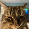 Nancy Spaulding - @nancy.spaulding5 - TikTok