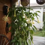 Nancy Spaulding - @spauldingn04 - Instagram