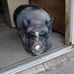 Nancy Speck - Facebook