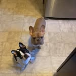 Nancy Speed Moore - @nminga2024 - Instagram