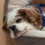 Nancy Sperling - @nancy.sperling - Instagram