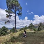 Nanci Spies - @nancispies - Instagram