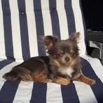 Nancy Spiessens - @nancy.spiessens.9 - Instagram