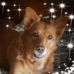 Nancy Spiller - @nancyspiller0028 - Instagram