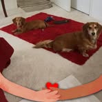 Nancy Spielman - Facebook