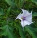 Nancy Spradlin - Facebook