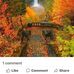 Nancy Bean Sprinkle - Facebook