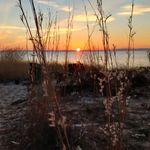 Nancy Squires - @nasquires - Instagram