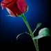 Nancy Stabile - Facebook