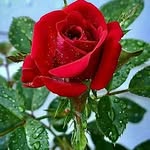 Nancystabile33@gmail.com - @nancystabile33gmail.com1 - Instagram