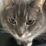 Nancy Stack - @nanfrastack - Instagram