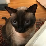 Nancy Stagg - @nancy.stagg - Instagram