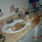 Nanny St-amand - Facebook