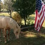 Nancy Fischer Standifer - @nancyfstandifer - Instagram