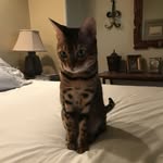 Nanci Shilling Stanfield - @nancistanfield - Instagram