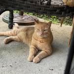 Nancy Blanchard Stanfield - @ncs1946 - Instagram