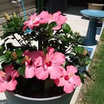 Nancy Stansbury - Facebook